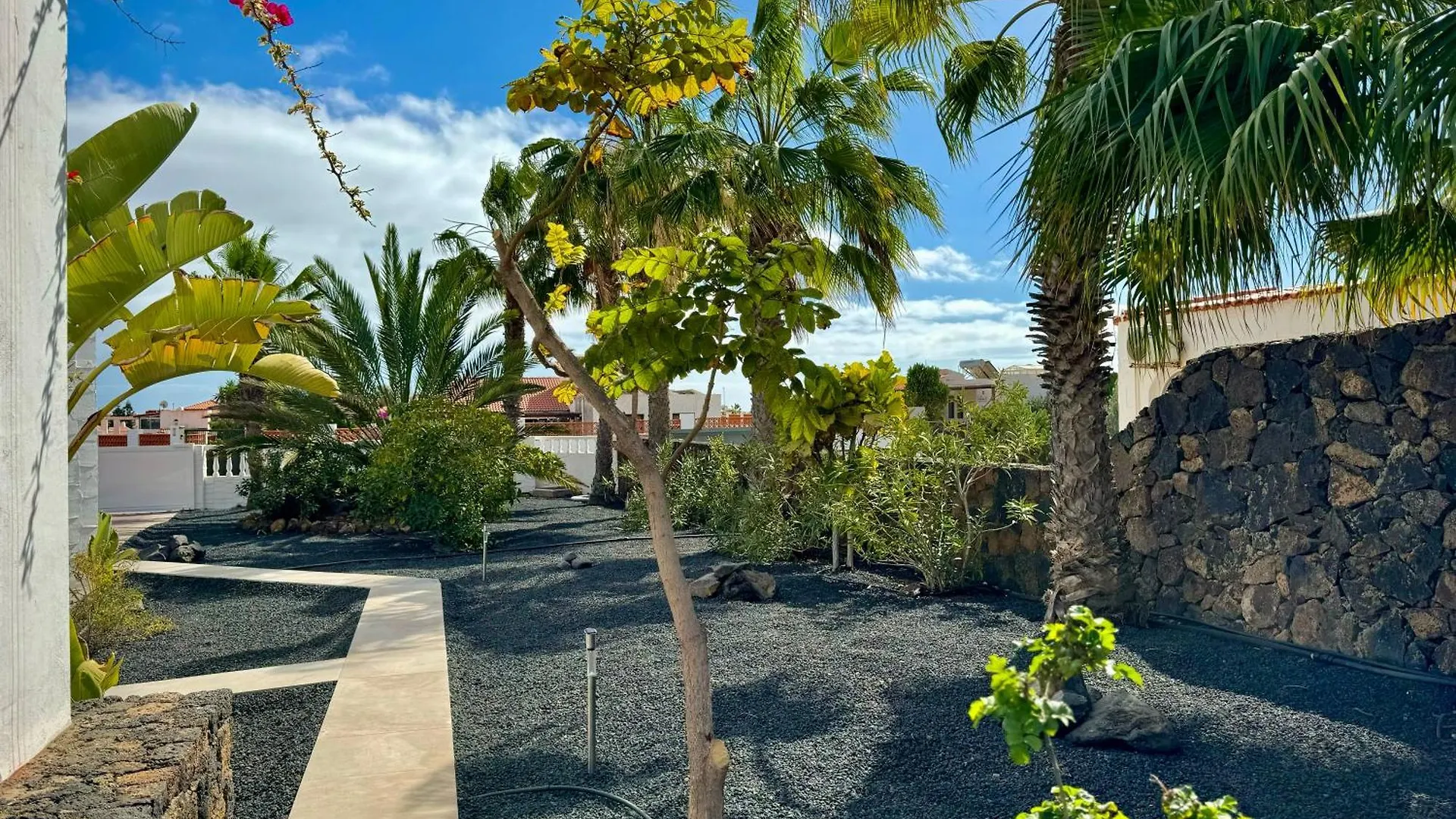 Luxury Villa Away From The Crowds - Casa Montana Parque Holandes 西班牙